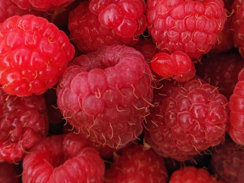 Raspberry ketone