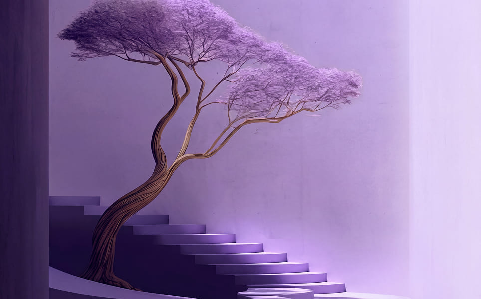 Cifra Drumului Vieții